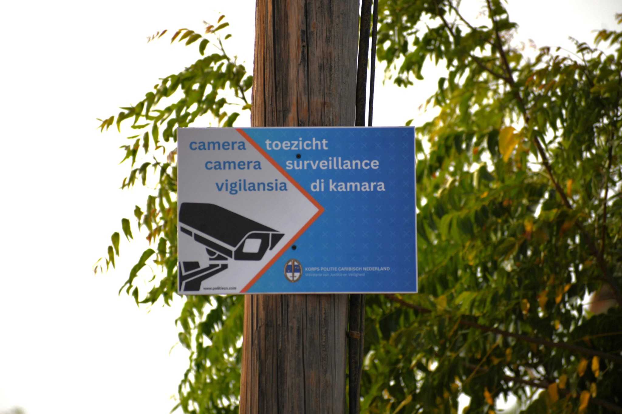 Vigilancia Di Camara Durante Dia Di Rincon 2025 2
